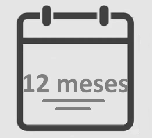 12 meses de suscripción.