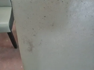 Conjunto de sillas de comedor con acolchado grueso