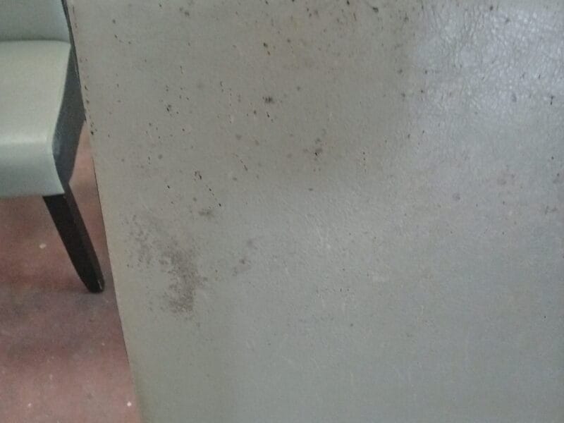 Conjunto de sillas de comedor con acolchado grueso